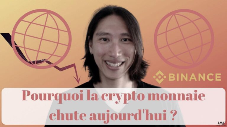 Comprendre les Causes de la Chute des Crypto-Monnaies Aujourd’hui