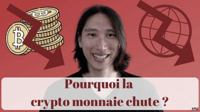 Comprendre la chute des crypto-monnaies: les causes et les conséquences